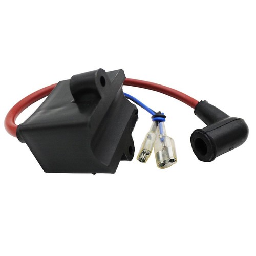 Electric kit 80cc - kit, 49/66/80cc