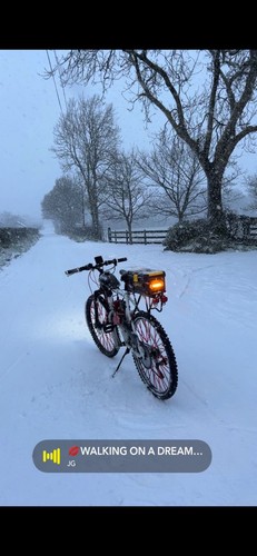 Motorised bicycle 80cc - bicycle,